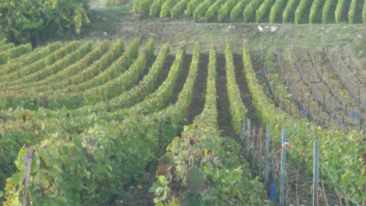L'Escale Fleurie Bed & Breakfast Vincelles  Exterior photo